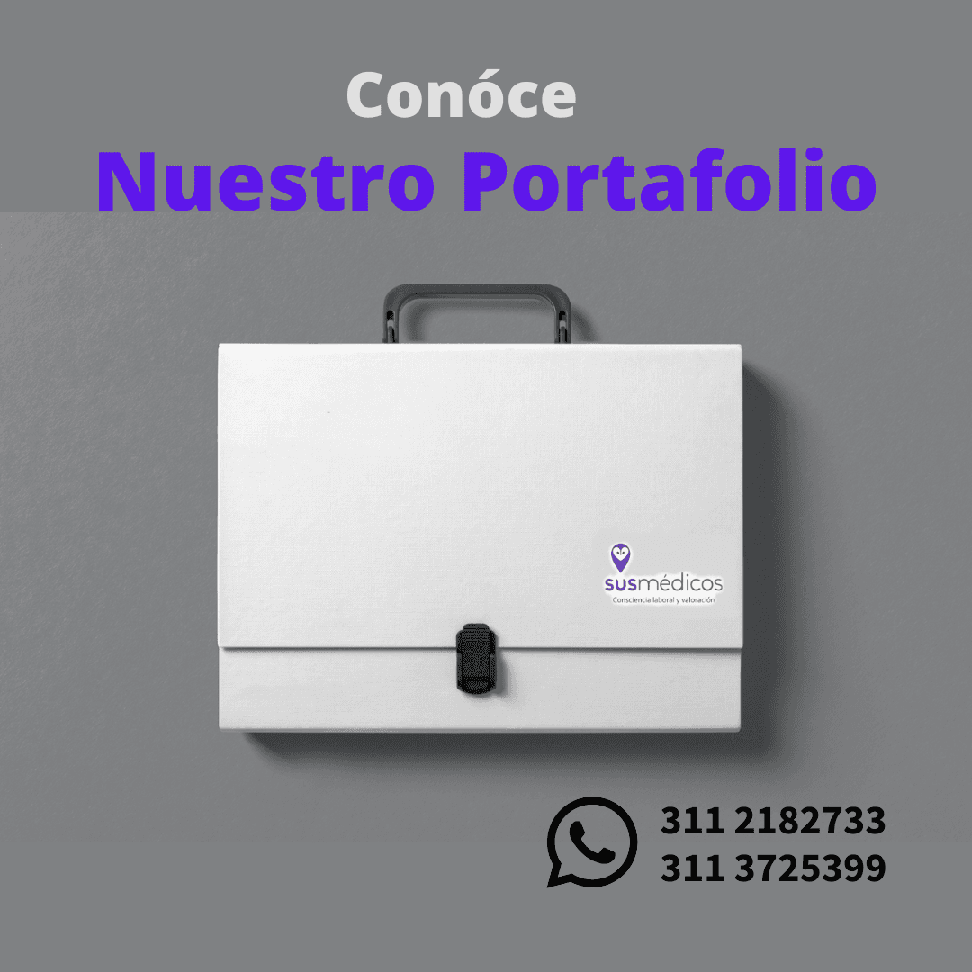 Portafolio Completo