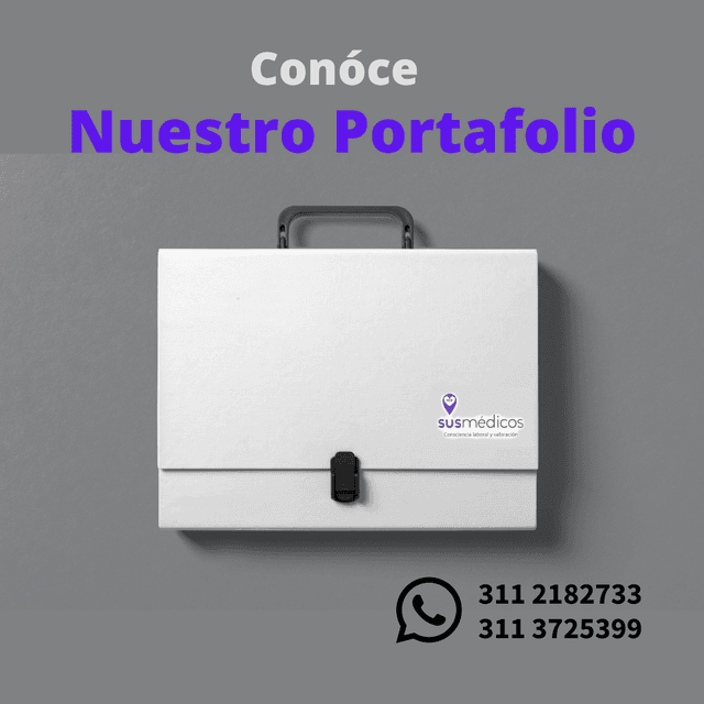 Portafolio Completo